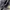 Vivienne Westwood Luxury Futurist Bags & purse Wanita silver photo 5