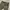 Gerry celana workpants slimfit photo 6
