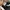 Vans Era Pro Skate True White Black Japan Edition photo 7