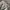 Cargo military longpants wide  photo 5