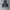 Vintage Hoody Pria black photo 4