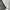 Dickies Vintage Casual Casual Pants Pria Multicolor