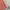 Luxury Fairy Prom dress Wanita multicolor pink photo 2