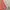 Luxury Fairy Prom Dress Wanita Multicolor Pink