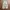Streetwear Gorpcore Sweatpants & Joggers Pria cream photo 4