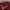 LS Liverpool Home 26/27 Player issue photo 4
