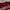 LS Liverpool Home 26/27 Player issue photo 9