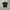 STUSSY X NEXUS7 photo 4