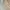 Avant Garde Fairy Prom dress Wanita tan cream photo 2
