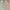 Avant Garde Fairy Prom Dress Wanita Tan Cream