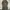 Streetwear Avant Garde Shirt dress Wanita green gray photo 1