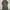 Streetwear Avant Garde Shirt Dress Wanita Green Gray