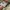 Vans Authentic 44 DX Anaheim Factory Checkerboard Original photo 6