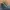 Timberland Casual Boots Pria green photo 1
