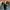 Timberland Casual Boots Pria green photo 4