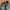 Timberland Casual Boots Pria green photo 3