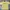 Muah Muah Casual T-shirt Pria cream yellow photo 1