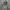 Adidas Vintage Hoodie Logo Bordir  photo 3
