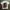 Vintage Y2K T-shirt Pria white photo 1