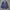 Versace Luxury Blazer Wanita navy photo 1