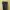 GU World Jeans International Basic Dark Pine Green Pants 30 photo 4