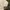 Carhartt Vintage Streetwear Hoody Pria tan photo 4