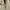Carhartt Vintage Streetwear Hoody Pria tan photo 3