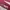 Maroon Sweat Pants photo 3