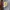 Carhartt Vintage Streetwear Bomber jacket Pria cream photo 8