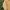 Carhartt Vintage Streetwear Bomber jacket Pria cream photo 3