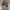Y2K knick knack grunge emo punk long sleeve photo 3