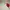 Kacamata Merah photo 5