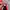 HOKA Sportswear Sneakers Pria red photo 2