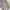 parka photo 5