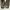 ZARA Luxury Casual Boots Wanita brown photo 3