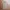 Montbell Gorpcore Sportswear Tracksuit Pria tan khaki photo 4