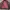 Tracktop RSC Millet Burgundy Hybrid Casual photo 8