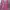 Y2K Luxury Sweater Wanita Pink
