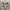 Marmot Gorpcore Sportswear Tracksuit Pria khaki photo 8