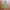 Marmot Gorpcore Sportswear Tracksuit Pria khaki photo 4