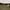Celana Pendek Y2k In The Attic Ripped photo 5