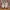 Nike Casual Sneakers Pria white photo 3