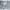 Y2K Luxury Crop top Wanita gray photo 1