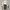 Sportswear Track jacket Pria tan photo 4