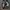 Vans Authentic HC 'DIY - Black'  photo 2