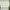 H&M Lolita Futurist Bodycon dress Wanita white photo 2