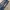 Diesel Vintage Jeans Pria navy photo 2