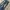 Diesel Vintage Jeans Pria Navy