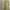 Cantik silky yellow dress photo 2