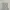 baby blue coquette patterned lace trimmed cami photo 2